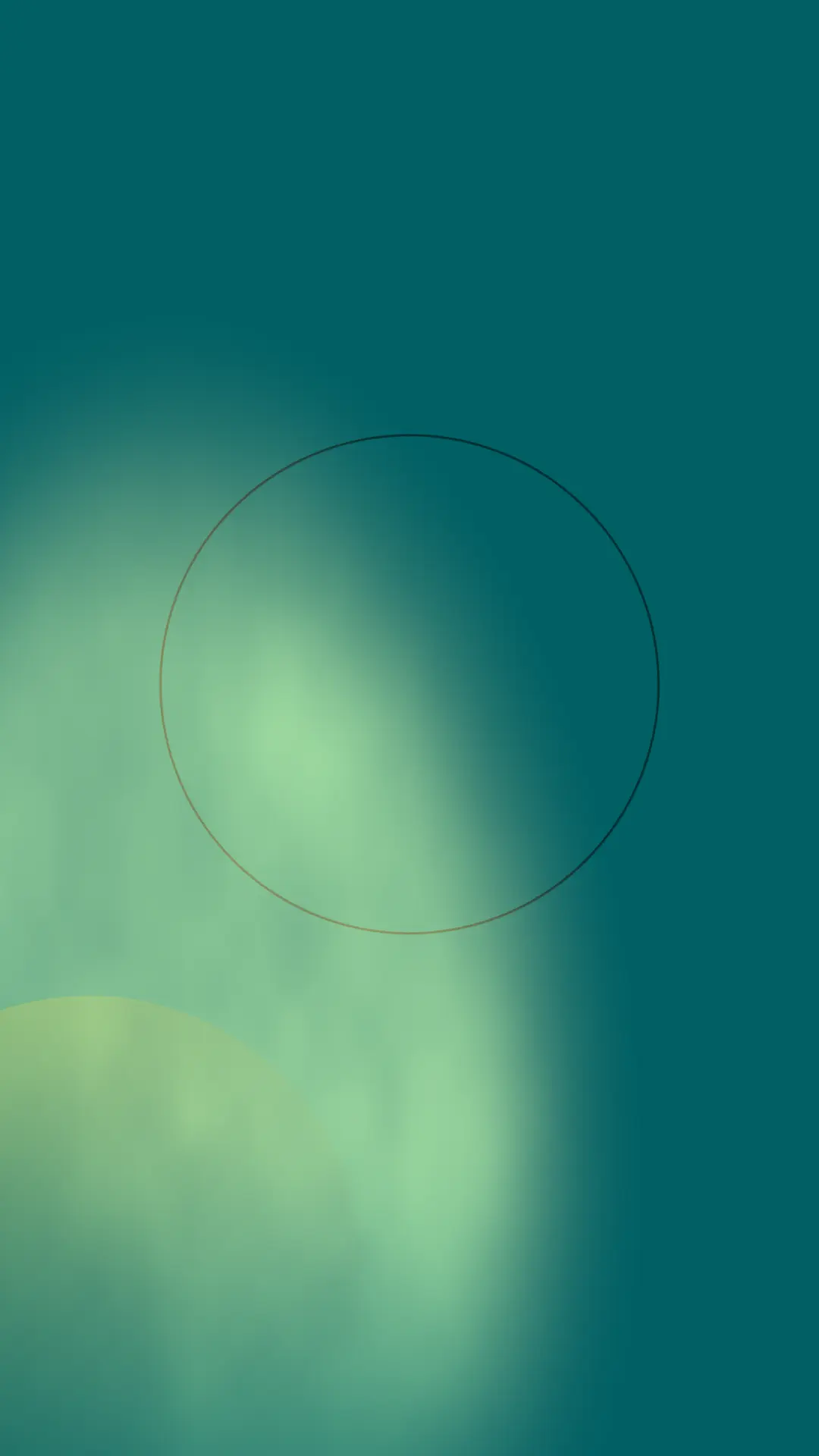 Modelli 163 template preview